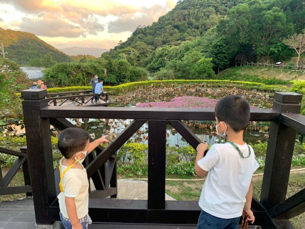 台北旅遊｜環山步道 x 白石湖吊橋 小小孩也能輕鬆走完